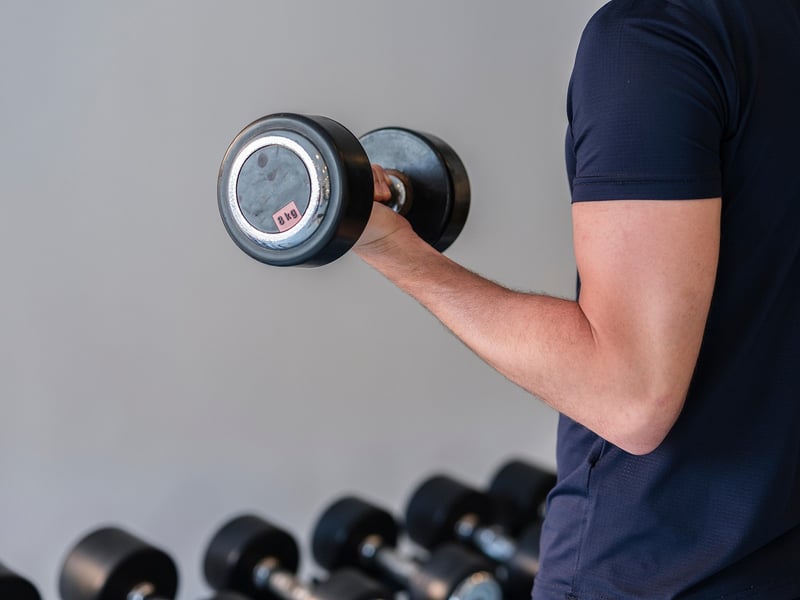Fitness Gym Dumbbells Exercise